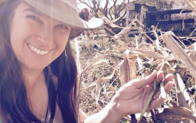 From Farm to Table – How to Reconnect with the Natural World Through Food Production