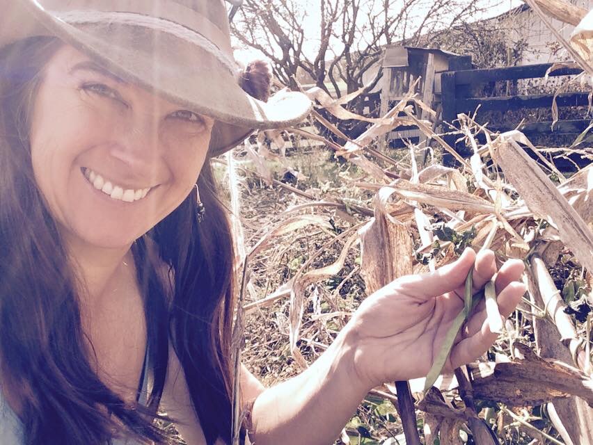 From Farm to Table – How to Reconnect with the Natural World Through Food Production